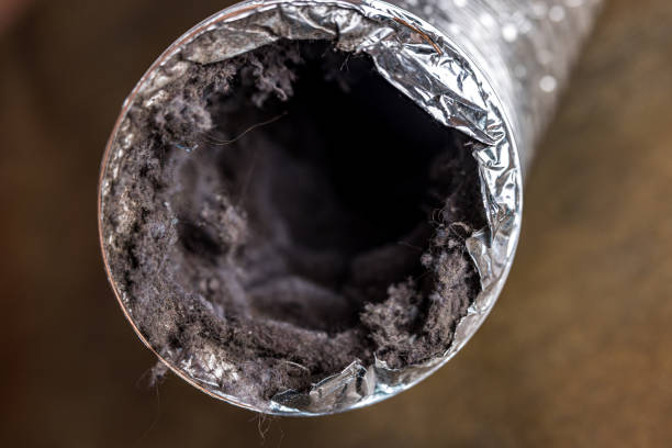 Best Home Air Vent Cleaning  in Fremont, IN