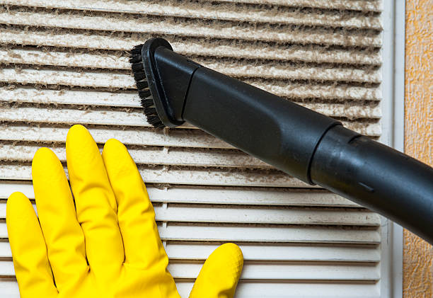 Best Local Air Duct Cleaning Services  in Fremont, IN